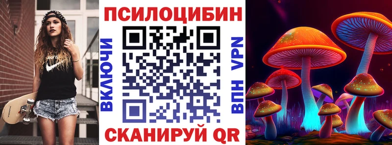 дарнет шоп Верхний Тагил Псилоцибиновые грибы Magic Shrooms